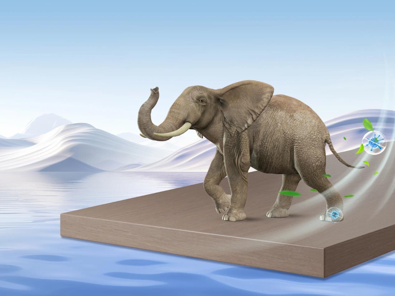 专业功能型板材